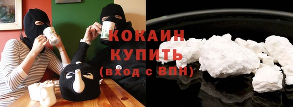 спиды Ельня