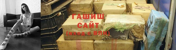 спиды Ельня
