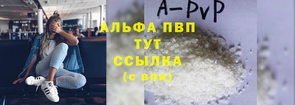 спиды Ельня