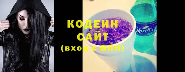 спиды Ельня