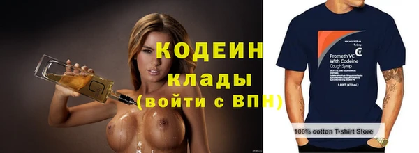 спиды Ельня