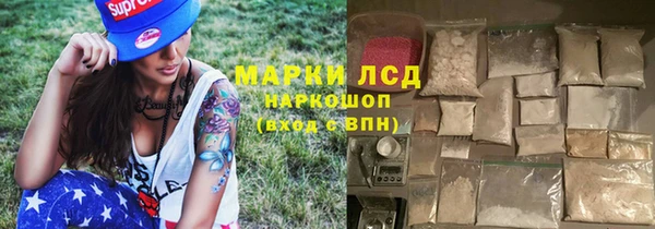 спиды Ельня