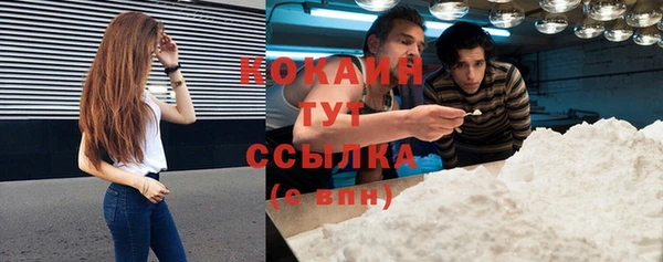 спиды Ельня