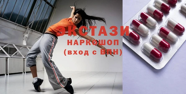 спиды Ельня