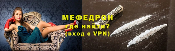 спиды Ельня