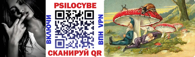Купить где  Кизляр  Псилоцибиновые грибы мицелий 