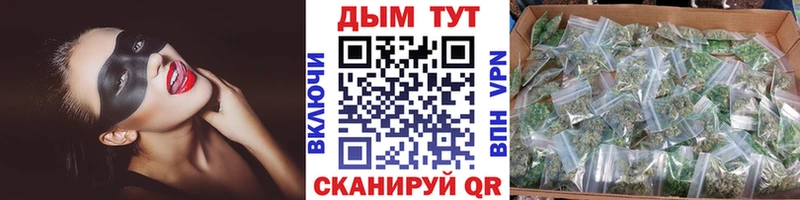 Каннабис ГИДРОПОН  Купить  Кизляр 